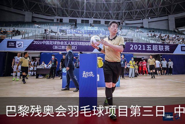 巴黎残奥会羽毛球项目第三日 中国队取得13胜3负