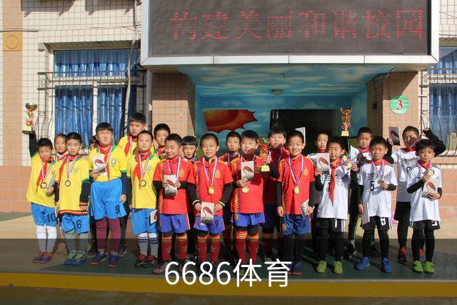 6686体育公司简介配图
